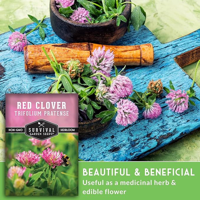 Survival Garden Seeds - Red Clover Seed for Planting - 1 Packet with Instructions to Plant & Grow a Medicinal Herb & Nitrogen Fixing Ground Cover in Your Home Garden - Non-GMO Heirloom Variety