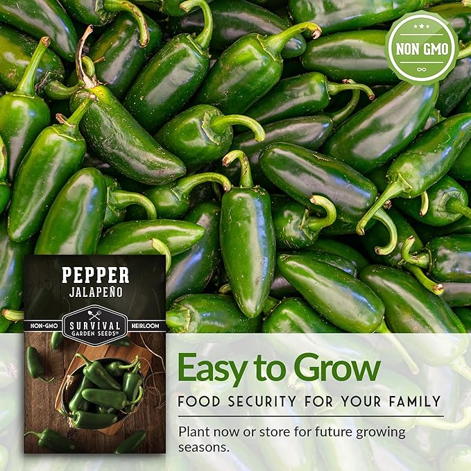 Survival Garden Seeds - Jalapeño Pepper Seed for Planting - Packet with Instructions to Plant and Grow Green or Red Chili Peppers in Your Home Vegetable Garden - Non-GMO Heirloom Variety - 5 Pack