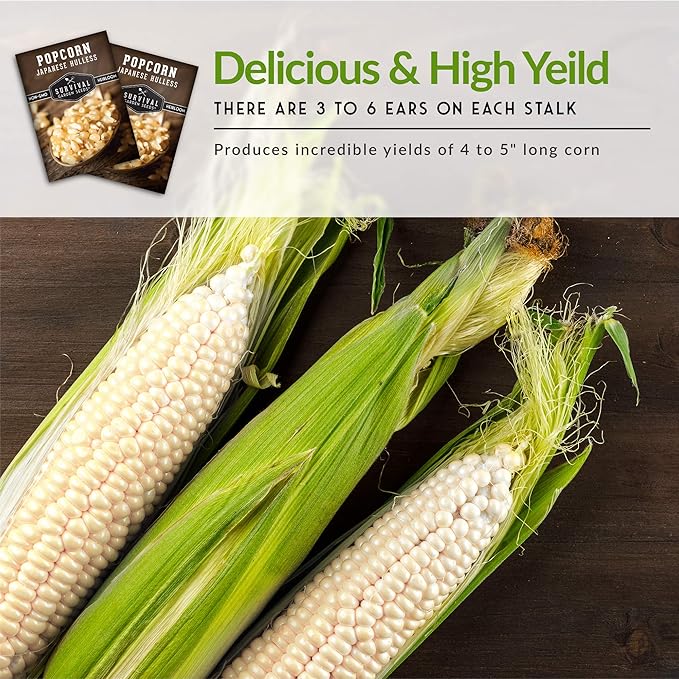 Survival Garden Seeds - Japanese Hulless Popcorn Seed for Planting - Packet with Instructions to Plant and Grow Delicious Kernel Popcorn in Your Home Vegetable Garden - Non-GMO Heirloom Variety