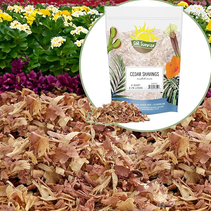 Natural Cedar Shavings Mulch/Bedding (4 Quarts), Garden Mulch and Small Animal Pet Bedding