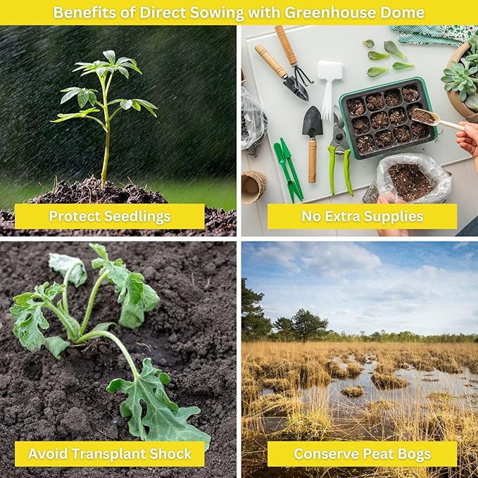 Sunflower Garden Kit with Grow Rings, Greenhouse Germination Domes, Seeds, Markers, Instructions – Gardening Gift for Mom, Teachers, Women, and Men – Made in USA