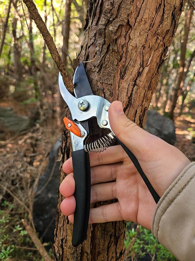 Saboten 7.9" Japanese Pruning Shears - forest Originals, Premium Steel Blades, Made in Japan, Rust Resistant, Gardening Scissors with Duracon Safety Lock