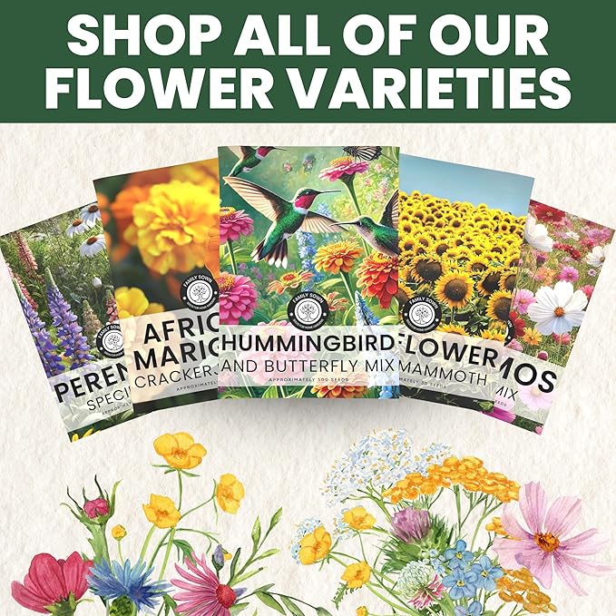 Crazy Cosmos Mix - Large 2,500mg Envelope - 300 Flower Seeds for Planting - Cosmos bipinnatus