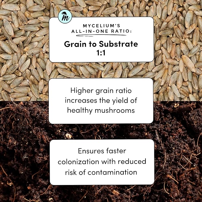 Mycelium's Superior Dung-Loving Mushroom Substrate & Rye Berries Grain 6 LB All-in-One Bag – Organic Coco Coir, Vermiculite & Gypsum Formula, Pre-Sterilized & Ready for Easy Home Cultivation