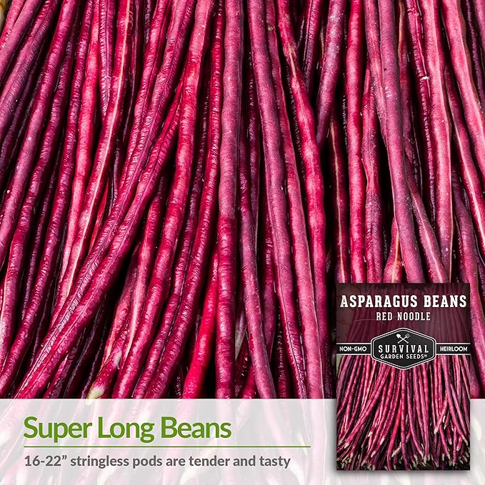 Survival Garden Seeds - Red Noodle Asparagus Bean Seed for Planting - Packet with Instructions to Plant and Extremely Long Stringless Beans in Your Home Vegetable Garden - Non-GMO Heirloom Variety