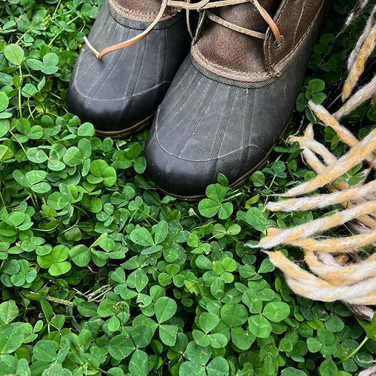 Micro Clover Seeds for Lawn - Microclover Seed for Planting - 1 oz. ~25,000 Seeds - Drought-Tolerant Mini Clover Seed - Grass Alternative Miniclover Seeds for Lawn - by Mountain Valley Seed Company…