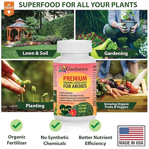 Liquid Seaweed Fertilizer for Aroid Plants - 32 oz - Maximize Aroids' Leaf Size and Health