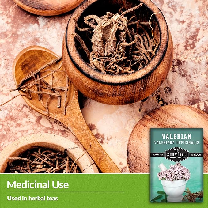 Valerian Seeds for Planting - 1 Packet with Instructions to Plant and Grow Medicinal Herb Valeriana Officinalis in Your Home Herb Garden - Non-GMO Heirloom Variety - Survival Garden Seeds