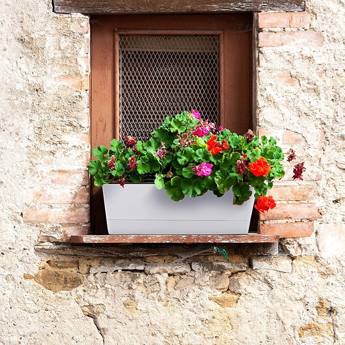 GREANER 12x3.8 Inch Herb Planters, 6 Pack White Rectangle Window Boxes with Tray, Indoor Succulent Cactus Mint Plastic Pot with Saucer for Windowsill, Balcony, Office, Outdoor Garden