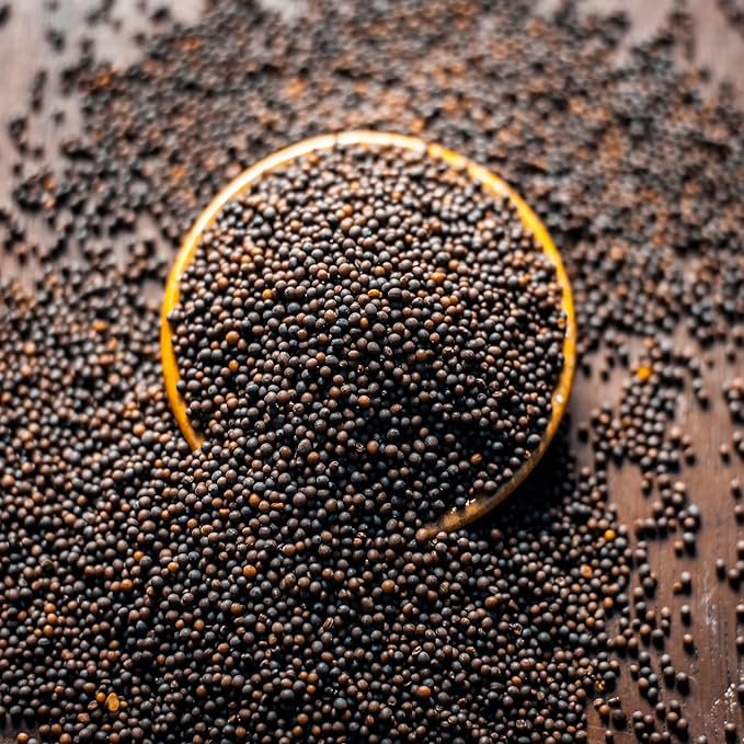 Outsidepride 10000 Seeds Annual Black Mustard Herb Garden Seed for Microgreens, Sprouts, & Cooking