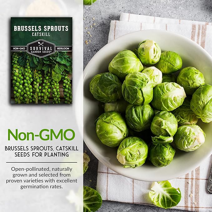 Survival Garden Seeds - Catskill Brussels Sprouts Seed for Planting - Packet with Instructions to Plant and Grow Tasty Cruciferous Vegetables in Your Home Vegetable Garden - Non-GMO Heirloom Variety