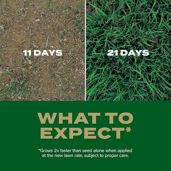 Scotts Turf Builder Rapid Grass Southern Gold Blend for Tall Fescue Lawns, Combination Seed and Fertilizer, 5.6 lbs.