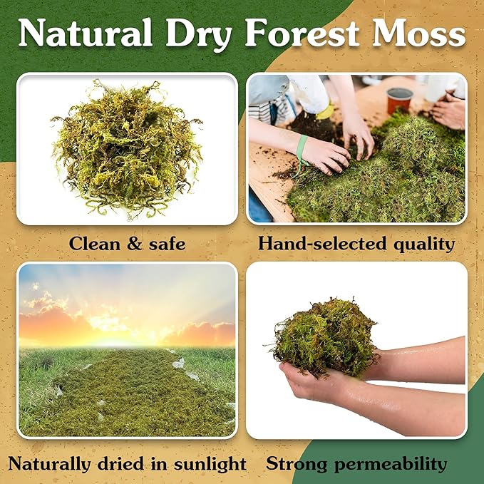 Natural Moss for Plants Indoor, Dried Moss for Potted Plants, Orchid Moss for Repotting, Forest Moss for Orchid Potting Mix, Decorative Moss Filler for Planters and Craft Moss (7oz)