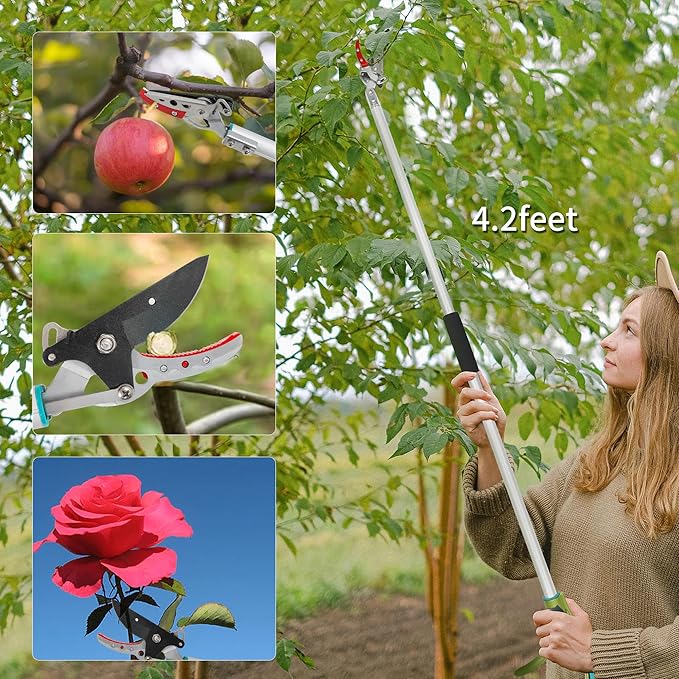 GARTOL Pruner for Garden, Cut Upto 1/2 Inch & Hold Pole Pruner, Lightweight Fruit Picker with 180 Degree Rotating Handle, Long Reach Tree Branch Cutter with Aluminum Pole, 4.2 FT, Silver