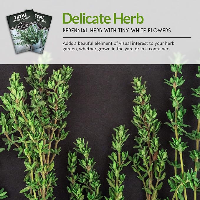 Survival Garden Seeds - Thyme Seed for Planting - 5 Packs with Instructions to Plant and Grow Thymus Vulgaris Herb Plants in Your Home Vegetable Garden - Non-GMO Heirloom Variety - Seed Planting Herb