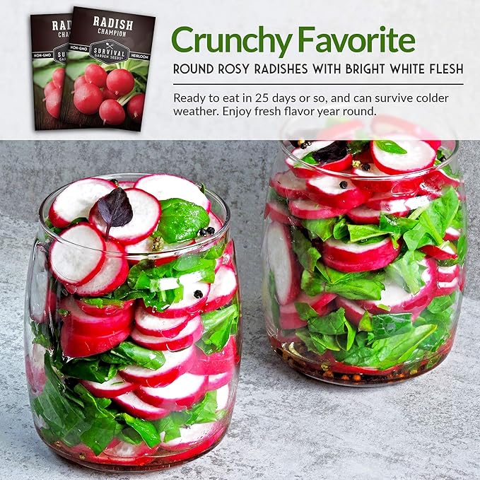 Survival Garden Seeds - Champion Radish Seed for Planting - Packet with Instructions to Plant and Grow Red Radishes in Your Home Vegetable Garden - Non-GMO Heirloom Variety - Vegetable Seed Planting