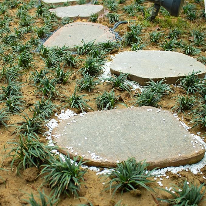 Anothera 6mm-8mm Succulent and Cactus Bonsai DIY Rocks, White Onyx, Gravel for Terrarium, Fairy Gardening, Top Dressing （3LB）