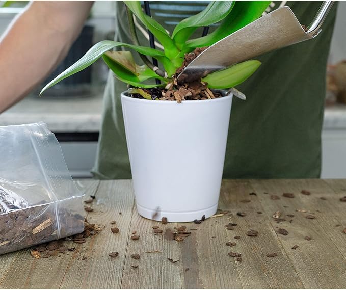 100% Natural Pine Bark Mulch Nuggets (10 Quarts), Small Mulch Chips for Indoor/Outdoor Container Gardening, Ideal for Soil Supplement, Houseplant Mulch, and Terrariums
