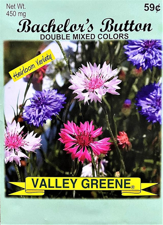 Set of 100 Bachelor’s Button - Double Mixed Annual Flower Seed Packets - Bulk Flower Seeds - Perfect for Creating your Dream Garden! - Includes 50 Packets of Bachelor Button Seeds!