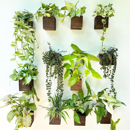 LaLaGreen Indoor Planter Box for Plants (12 Pack, 4x4 Inch) Small Square Wooden Wall Mounted Planters Wood Window Boxes Hanging Flower Pot Plant Holder Outdoor Herb Modern Vertical Garden Home Decor