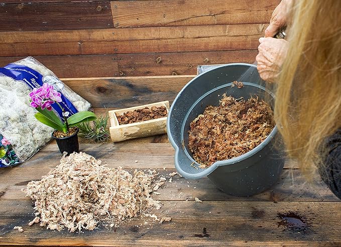 SuperMoss (22301) Orchid Sphagnum Moss Dried, Natural, 8oz