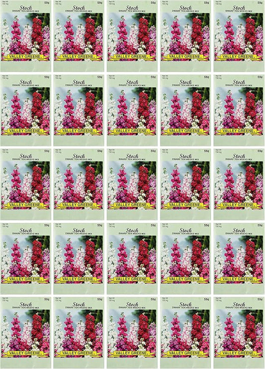 Black Duck Brand Set of 25 Stock Flower Seed Packets! Flower Seeds in Bulk - Great for Creating The Garden of Your Dreams! (25, Stock - Dwarf Ten Weeks)