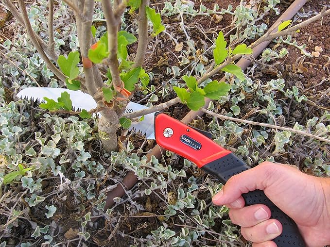 TABOR TOOLS Folding Saw with 8 Inch Curved Blade and Rugged Grip Handle, Hand Saw for Pruning Trees, Trimming Branches, Camping, Clearing Forest Trails. TTS25A. (Curved Blade 8 Inch)