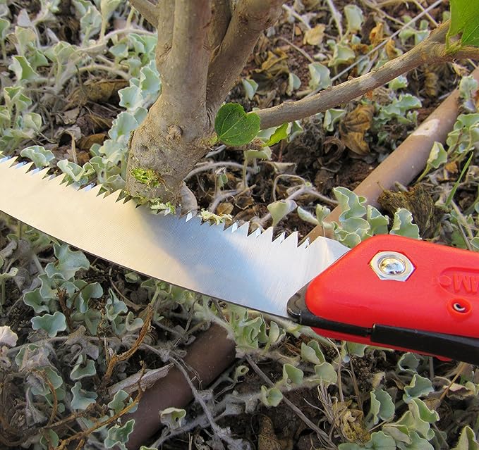 TABOR TOOLS Folding Saw with 8 Inch Curved Blade and Rugged Grip Handle, Hand Saw for Pruning Trees, Trimming Branches, Camping, Clearing Forest Trails. TTS25A. (Curved Blade 8 Inch)